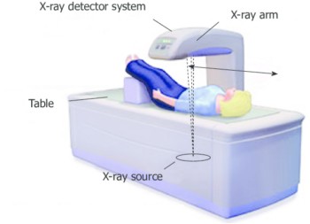 The position of the body during densitometry.