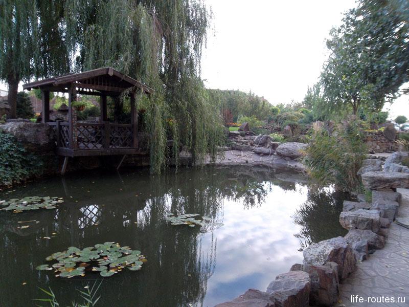 A small pond, willow, arbor. 