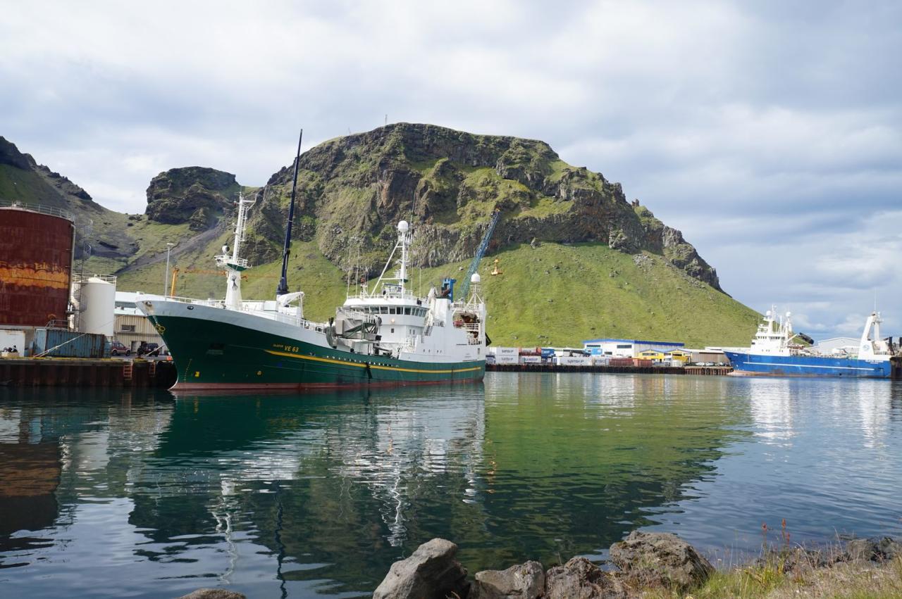 The ferry to the Westmain Islands. Katya rolls.